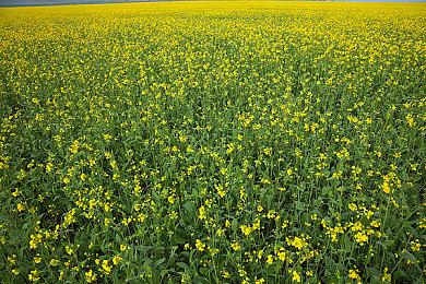 港服PSN商店开启黑五优惠 年会员67折仅需168元