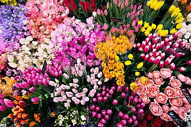 开发时间超出预期《铲子骑士：挖掘》确定延期发售